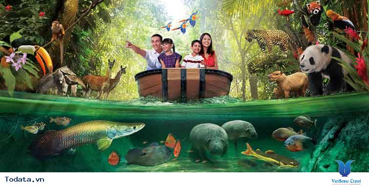 Khu sinh thái đa dạng trong River Safari Hình ảnh 1