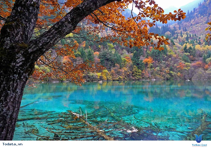 Khu Thắng Cảnh Cảnh Cửu Trại Câu Hình ảnh 2