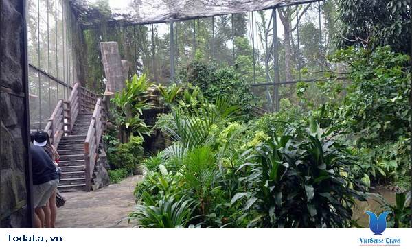 Khu vườn nhiệt đới Butterfly park and Insect kingdom Hình ảnh 3 Khu vườn nhiệt đới Butterfly park and Insect kingdom Hình ảnh 3