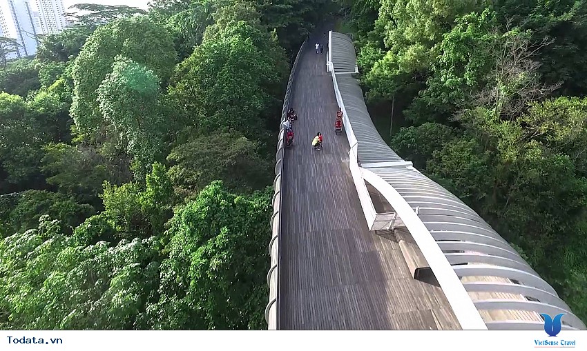 Khung cảnh đẹp như tranh vẽ khi nhìn từ Faber Moutain Hình ảnh 2