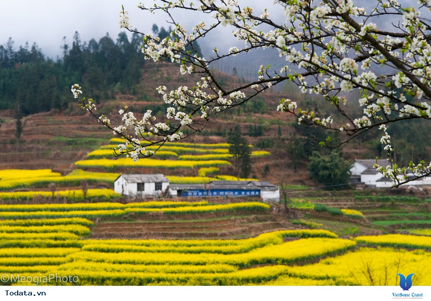 La Bình- Xứ Sở Thần Tiên Hình ảnh 4