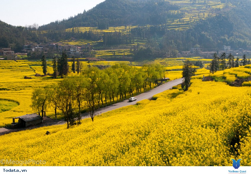 La Bình- Xứ Sở Thần Tiên Hình ảnh 3