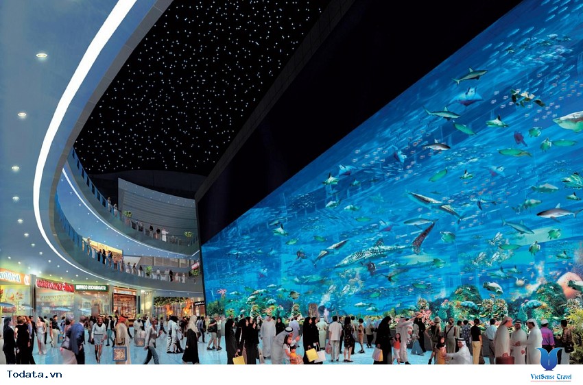 Lạc Bước Trong Dubai Mall Hình ảnh 4