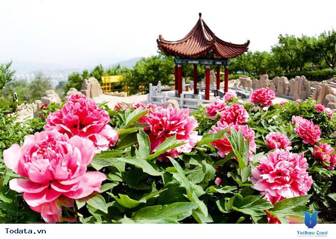 Lạc Dương- Kinh Đô 15 Triều Đại Trung Quốc Hình ảnh 1