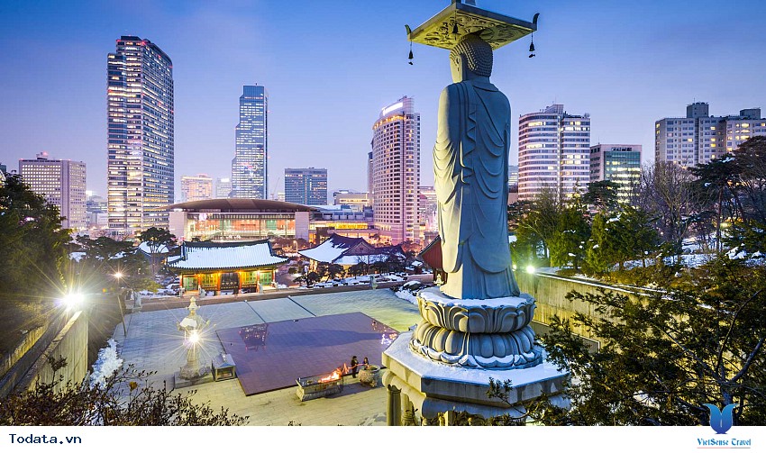 Lạc Lối Đến Seoul Hình ảnh 1