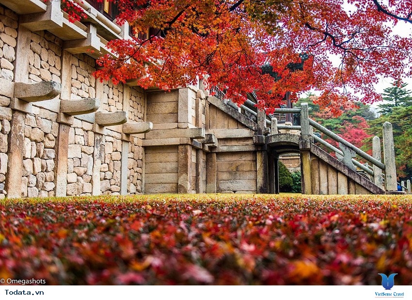 Lắng Đọng Cố Đô Gyeongju Hình ảnh 3