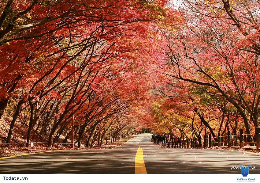 Lắng Đọng Cố Đô Gyeongju Hình ảnh 6