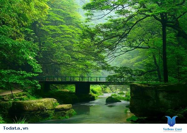 Lắng Đọng Vẻ Đẹp Đất Trời Trên Hồ Bảo Phong Hình ảnh 4