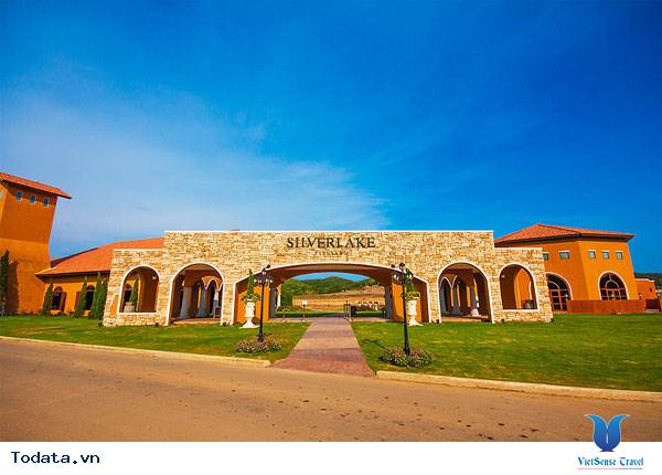 Lãng mạn chiều hoàng hôn ở vườn nho Silverlake Hình ảnh 3 Lãng mạn chiều hoàng hôn ở vườn nho Silverlake Hình ảnh 3