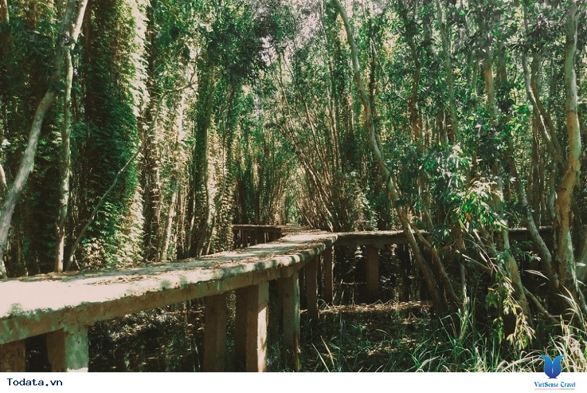 Làng nổi Tân Lập có gì hấp dẫn Hình ảnh 1