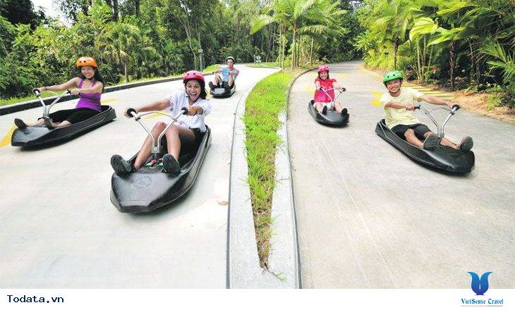 Lao như bay cùng đua xe Luge và đi cáp treo mở Skyline Hình ảnh 1