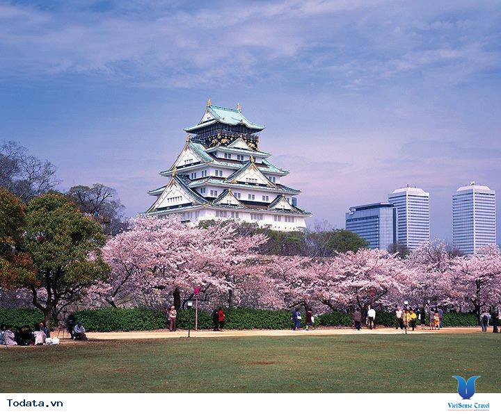 Lâu Đài Osaka- Biểu Tượng Tự Hào Của Nhật Bản Hình ảnh 4