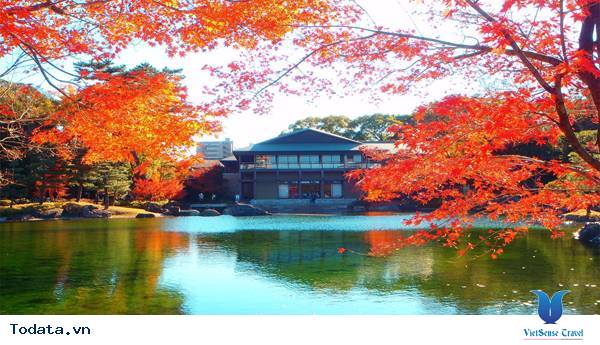 Lễ Hội Thu Đông Ở Nagoya Hình ảnh 1