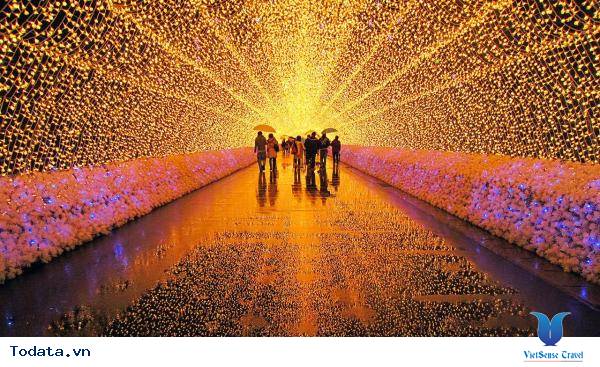 Lễ Hội Thu Đông Ở Nagoya Hình ảnh 4