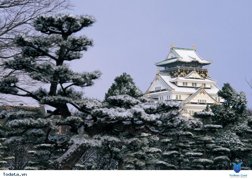 Lịch Sử Lâu Đài Nagoya Hình ảnh 3