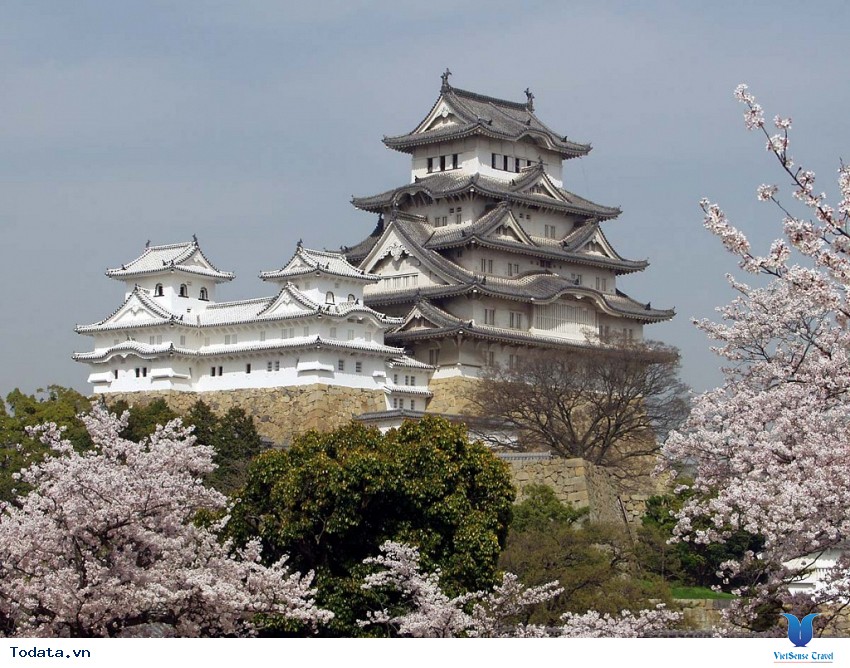 Lịch Sử Lâu Đài Nagoya Hình ảnh 1