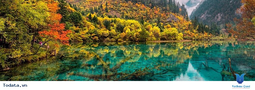 Lộng Lẫy Sắc Màu Mâu Ni Câu Hình ảnh 3