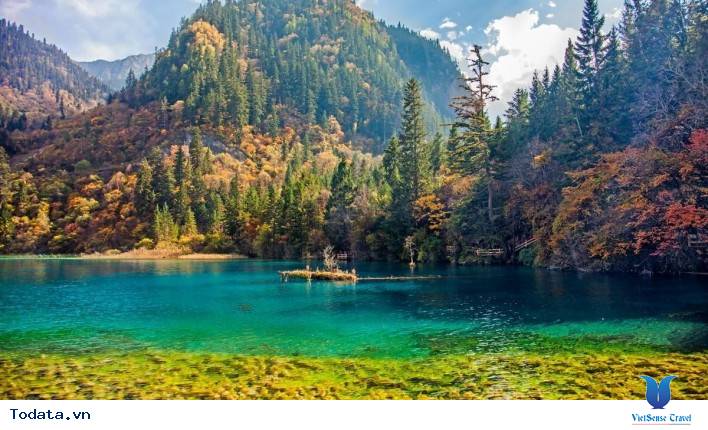 Lộng Lẫy Sắc Màu Mâu Ni Câu Hình ảnh 2