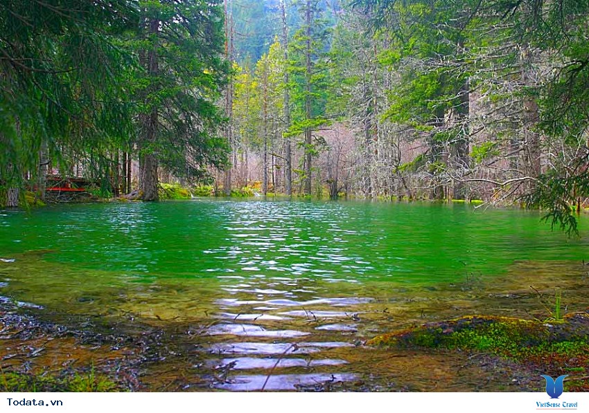 Lộng Lẫy Sắc Màu Mâu Ni Câu Hình ảnh 1