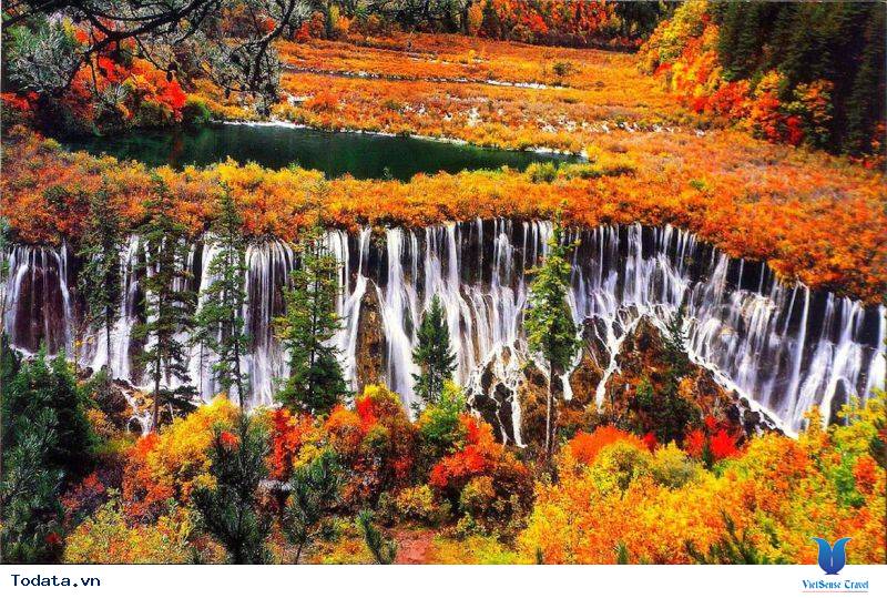 Lộng Lẫy Sắc Màu Mâu Ni Câu Hình ảnh 4