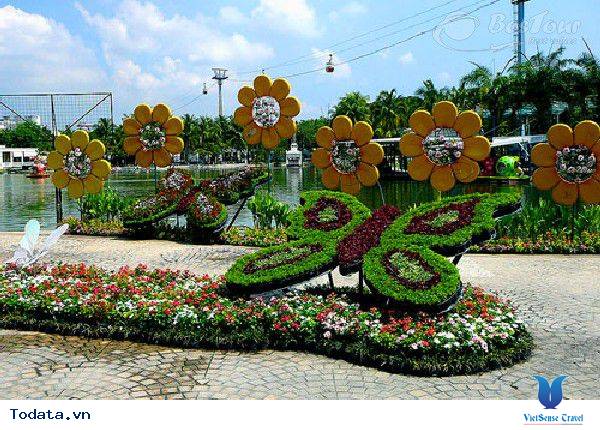 Mê hoặc trong vườn bướm Thái Hình ảnh 1