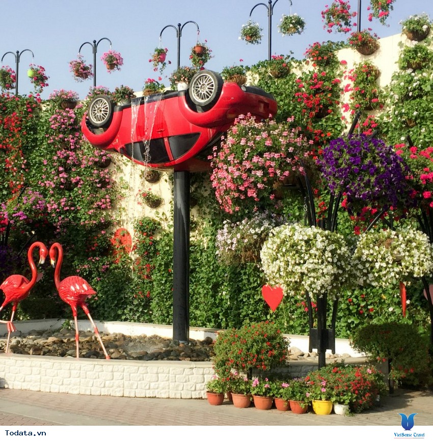 Miracle Garden- Viên Ngọc Trai Của Sa Mạc Hình ảnh 3 Miracle Garden- Viên Ngọc Trai Của Sa Mạc Hình ảnh 3