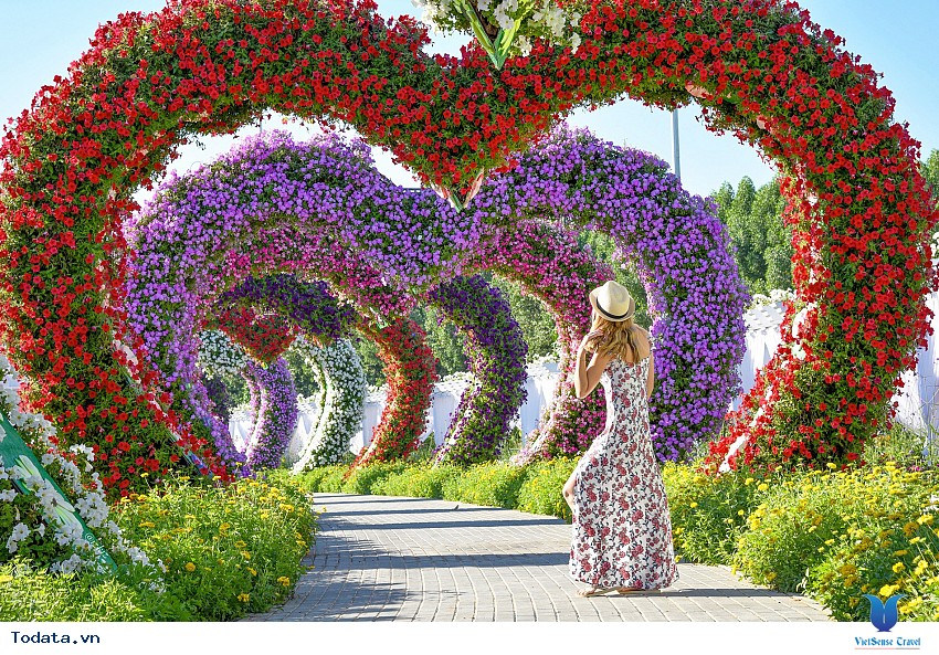 Miracle Garden- Viên Ngọc Trai Của Sa Mạc Hình ảnh 4 Miracle Garden- Viên Ngọc Trai Của Sa Mạc Hình ảnh 4