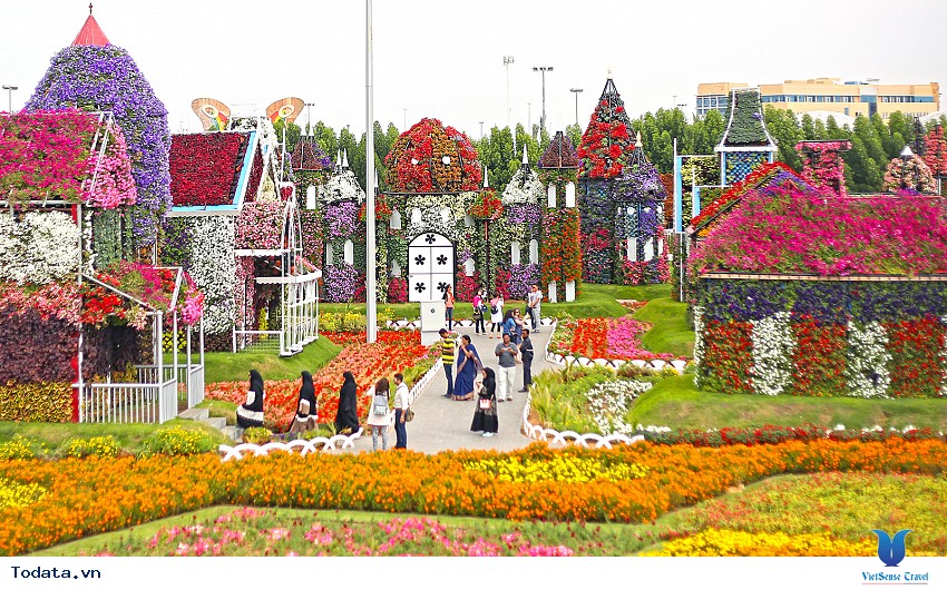 Miracle Garden- Viên Ngọc Trai Của Sa Mạc Hình ảnh 7 Miracle Garden- Viên Ngọc Trai Của Sa Mạc Hình ảnh 7