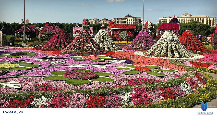 Miracle Garden- Viên Ngọc Trai Của Sa Mạc Hình ảnh 5 Miracle Garden- Viên Ngọc Trai Của Sa Mạc Hình ảnh 5