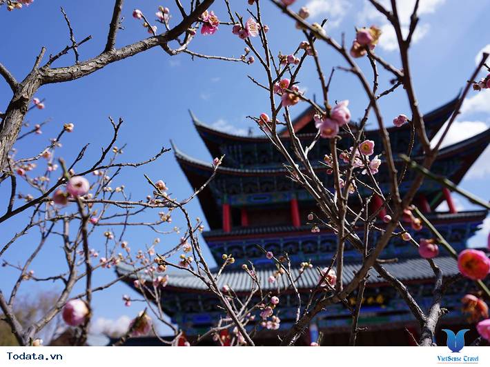 Mộc Phủ- Tử Cấm Thành Phương Nam Hình ảnh 1