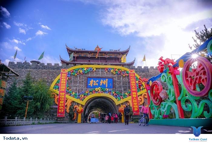 Một Lần Ghé Qua Cổ Tùng Phan Hình ảnh 3