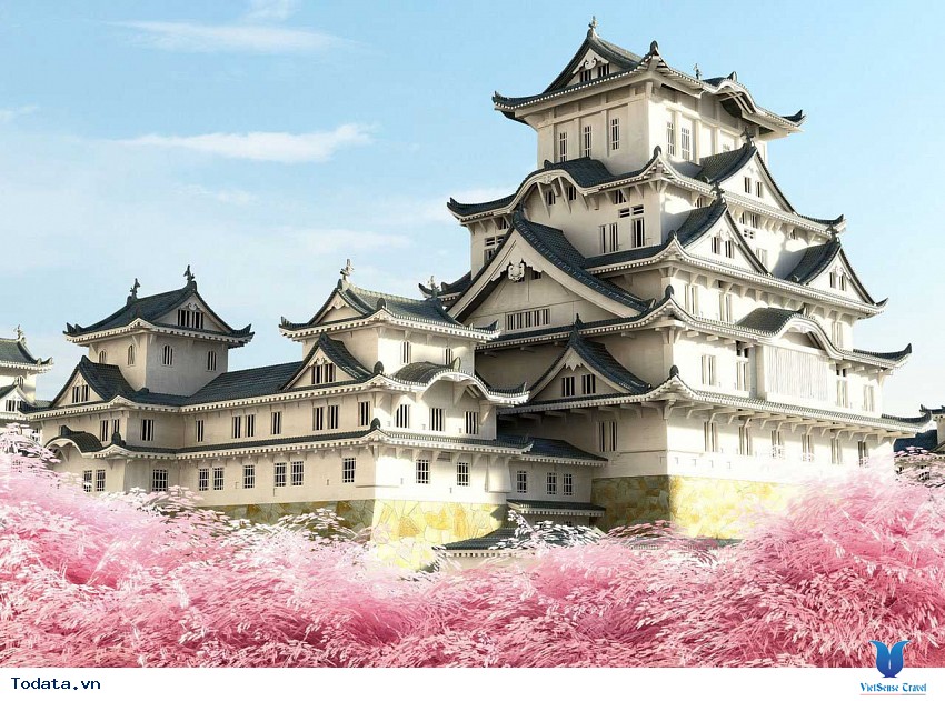Mùa Hoa Anh Đào Nở Bên Lâu Đài Nagoya Hình ảnh 1