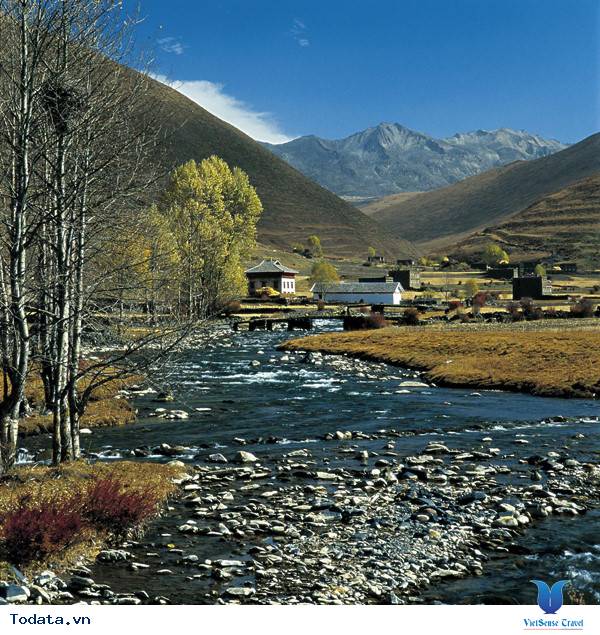 Mùa Thu Cửu Trại Câu thiên đường check in Hình ảnh 2