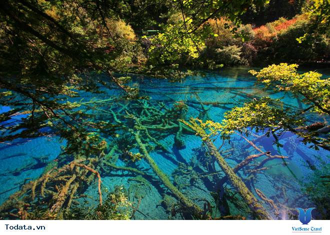 Mùa Thu Cửu Trại Câu thiên đường check in Hình ảnh 6