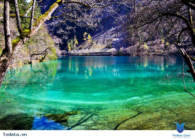 Mùa Thu Cửu Trại Câu thiên đường check in Hình ảnh 4