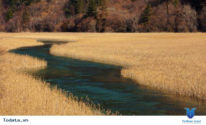 Mùa Thu Cửu Trại Câu thiên đường check in Hình ảnh 10