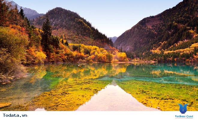 Mùa Thu Cửu Trại Câu thiên đường check in Hình ảnh 1