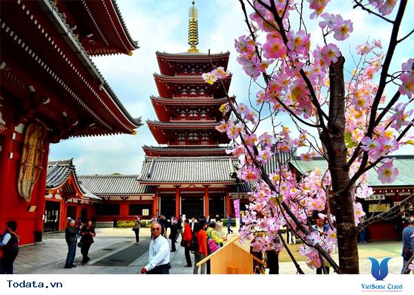 Mùa Thu Ở Đền Asakusa Kannon Hình ảnh 2