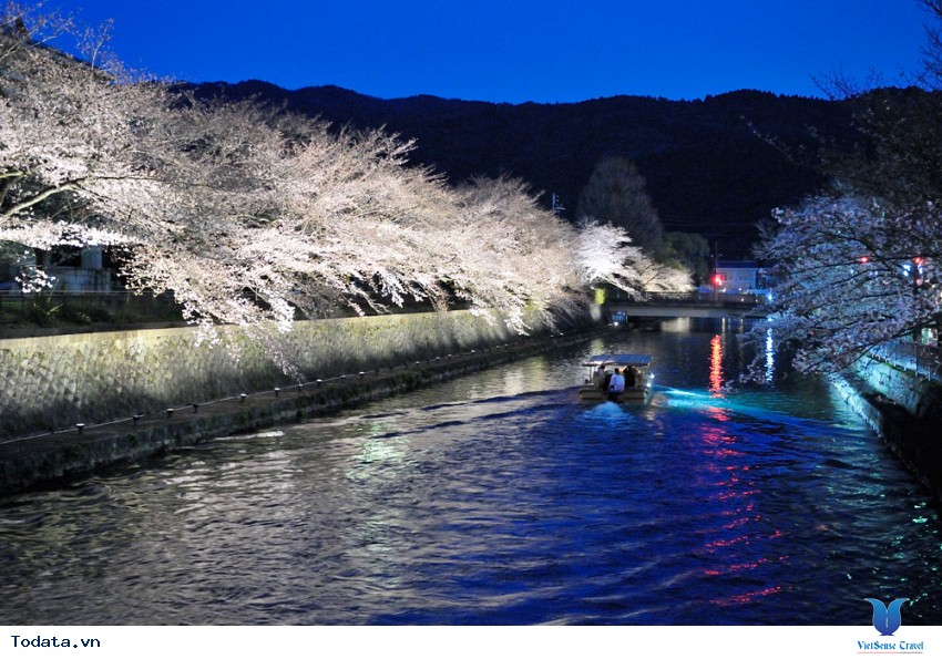 Mùa Xuân Ở Thủ Đô Tokyo Hình ảnh 4