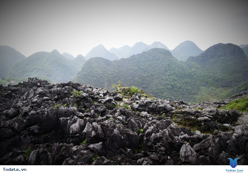 Nét Đẹp Từ Đá Hình ảnh 1