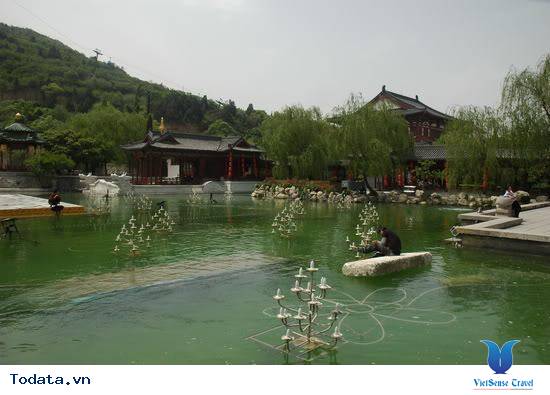 Ngắm Cảnh Hoa Thanh Trì Hình ảnh 4 Ngắm Cảnh Hoa Thanh Trì Hình ảnh 4