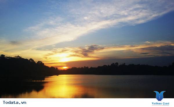 Ngắm hoàng hôn MacRitchie Nature Trail & Reservoir Park Hình ảnh 1 Ngắm hoàng hôn MacRitchie Nature Trail & Reservoir Park Hình ảnh 1