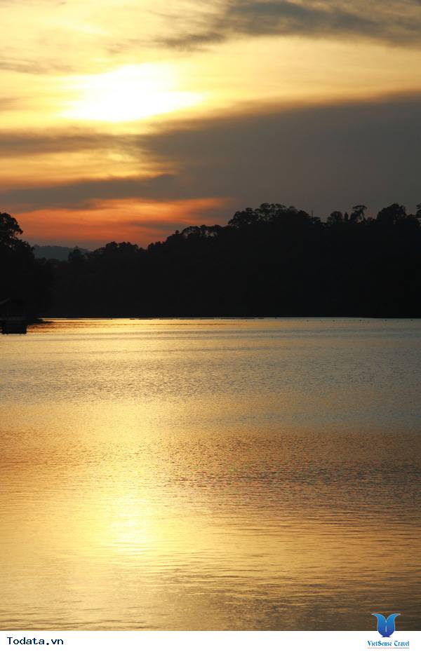 Ngắm hoàng hôn MacRitchie Nature Trail & Reservoir Park Hình ảnh 3 Ngắm hoàng hôn MacRitchie Nature Trail & Reservoir Park Hình ảnh 3