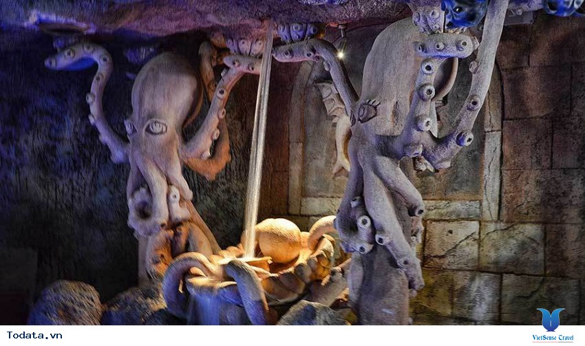 Ngắm những loài cá ở công viên nước Adventure Cover Hình ảnh 1