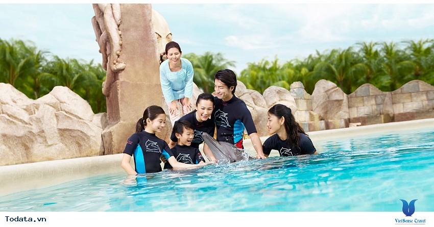 Ngắm những loài cá ở công viên nước Adventure Cover Hình ảnh 2