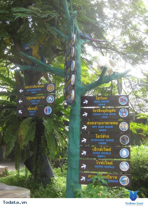 Ngắm vườn thú nổi tiếng nhất Thái Lan tại công viên Safari World Hình ảnh 1 Ngắm vườn thú nổi tiếng nhất Thái Lan tại công viên Safari World Hình ảnh 1