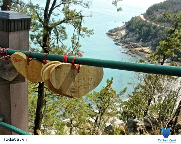 Những hình ảnh Thiên nhiên tươi đẹp ở đảo Cheongsando Hàn Quốc Hình ảnh 9