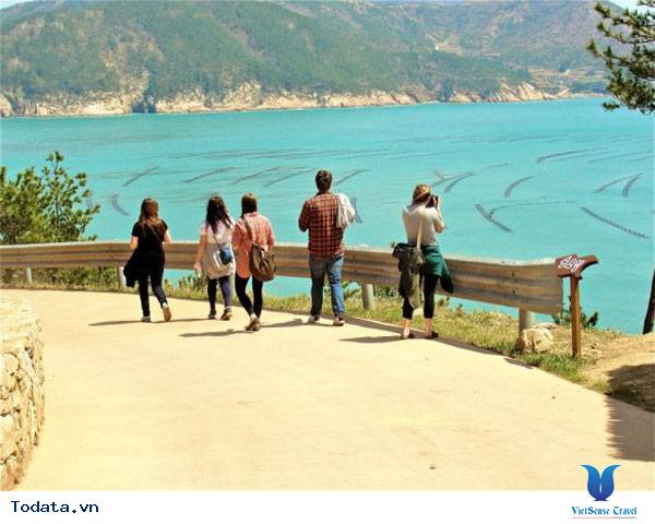 Những hình ảnh Thiên nhiên tươi đẹp ở đảo Cheongsando Hàn Quốc Hình ảnh 8