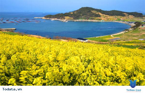 Những hình ảnh Thiên nhiên tươi đẹp ở đảo Cheongsando Hàn Quốc ...
