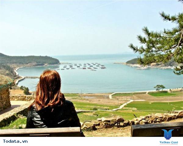 Những hình ảnh Thiên nhiên tươi đẹp ở đảo Cheongsando Hàn Quốc Hình ảnh 10